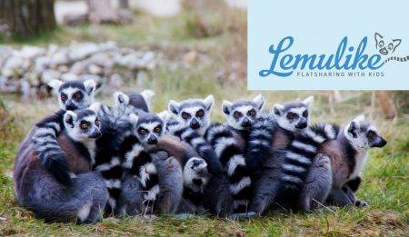 Leben wie die Lemuren – Alleinerziehenden-WGs