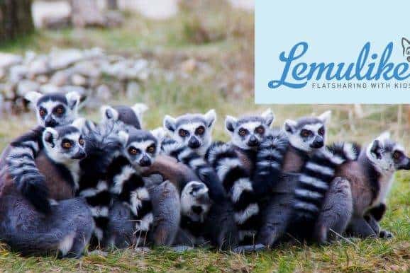 Leben wie die Lemuren – Alleinerziehenden-WGs